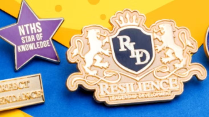 School Enamel Lapel Pin