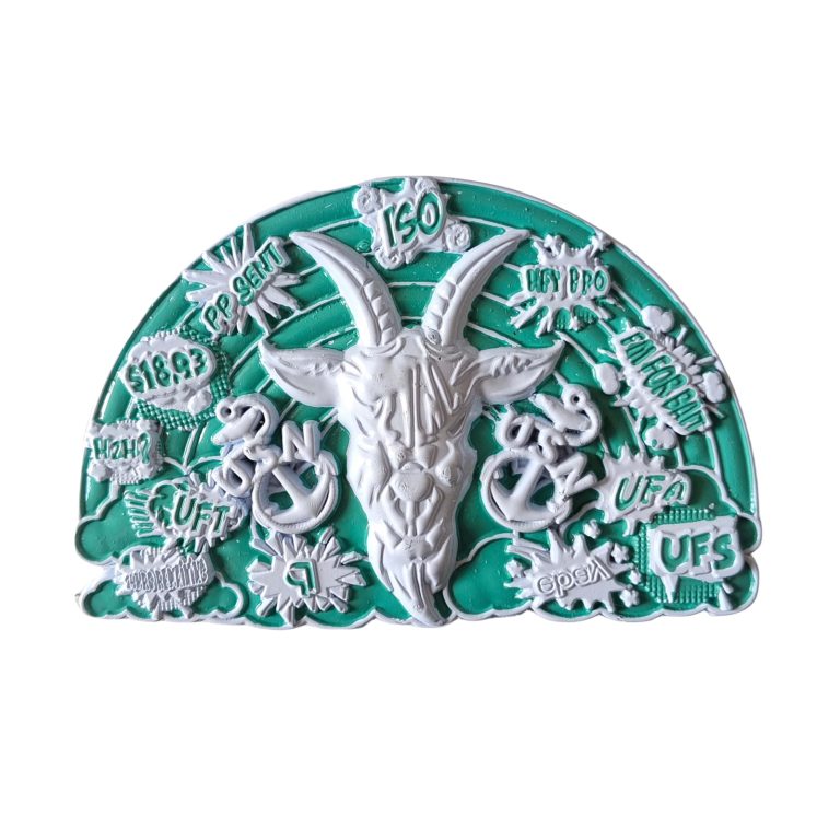 Personalized USN Challenge Coin