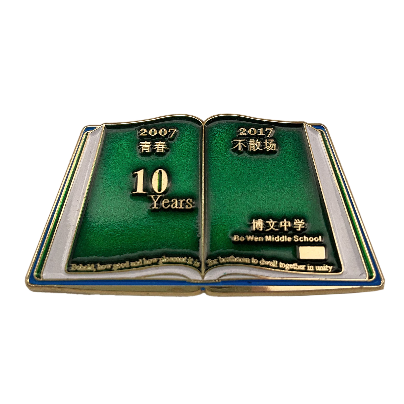 Bo Wen Middle School Lapel Pin