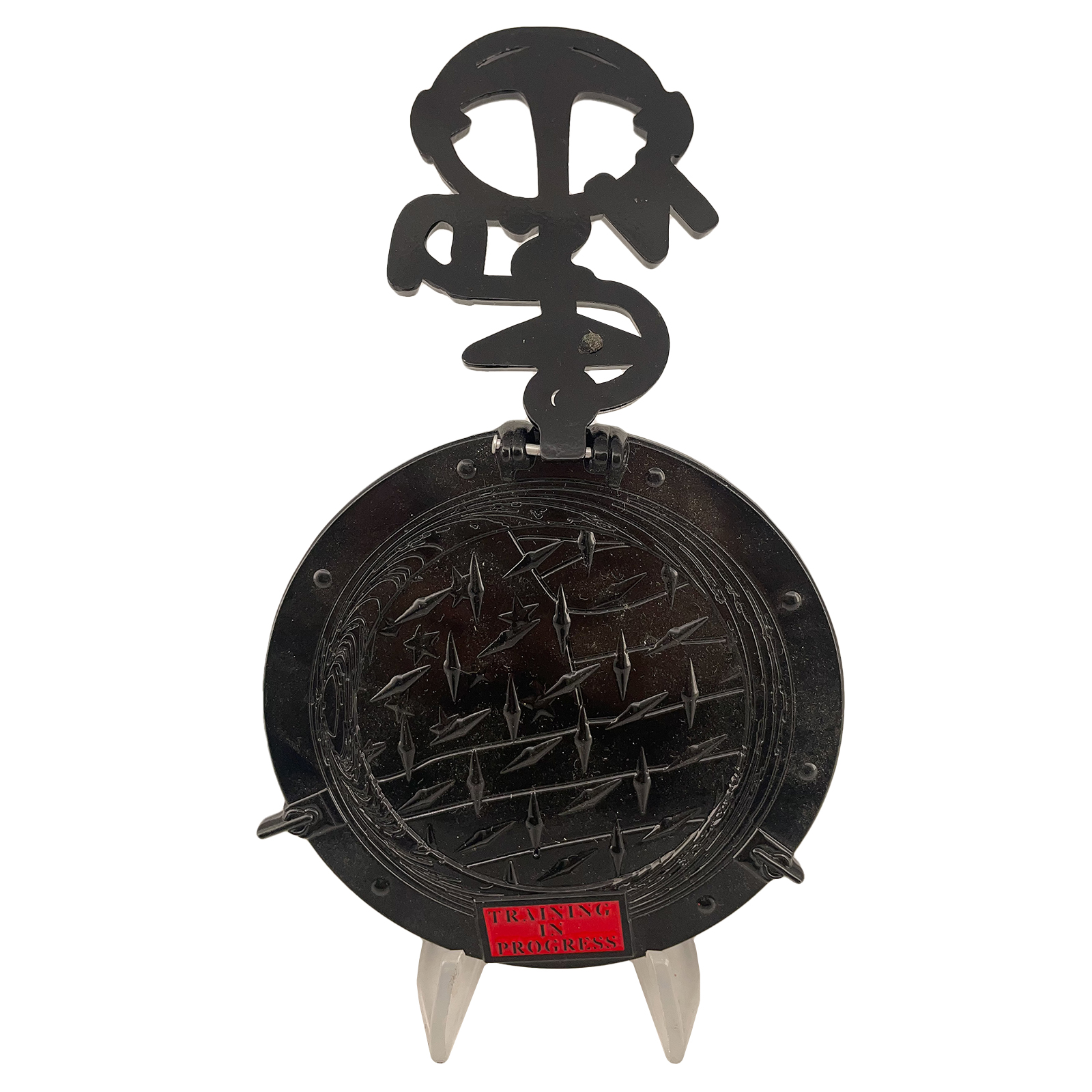 USN Training in Progress Challenge Coin