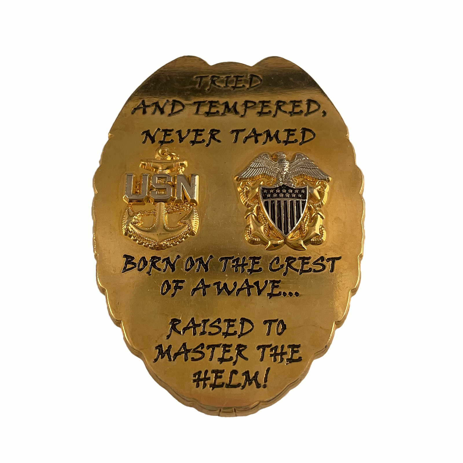 USN Security Forces Challenge Coin