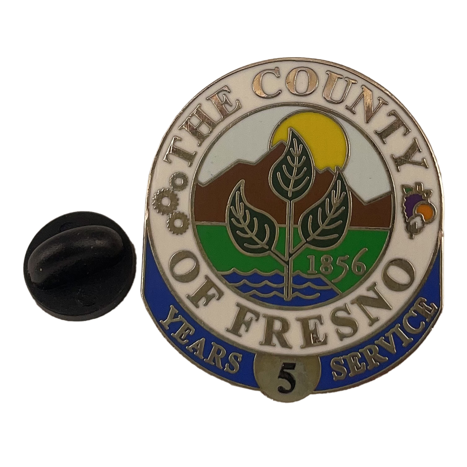 5 year service award pin