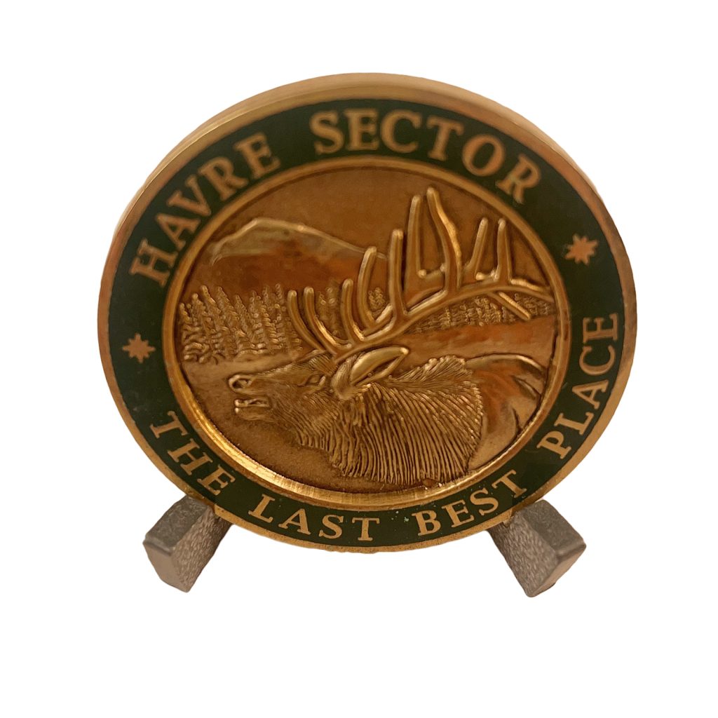 Border Patrol Challenge Coin